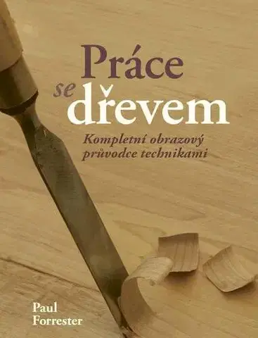 Umenie - ostatné Práce se dřevem - Paul Forrester