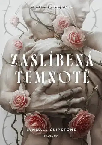 Young adults Zaslíbená temnotě - Lyndall Clipstone,Tereza Demjaničová