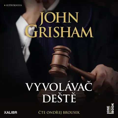Detektívky, trilery, horory OneHotBook Vyvolávač deště - audiokniha 2CDmp3