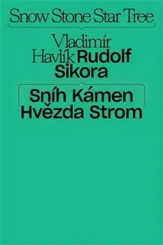 Maliarstvo, grafika Sníh, kámen, hvězda, strom - Jakub Král