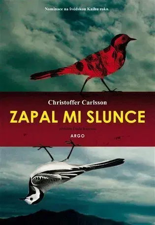 Detektívky, trilery, horory Zapal mi slunce - Christoffer Carlsson