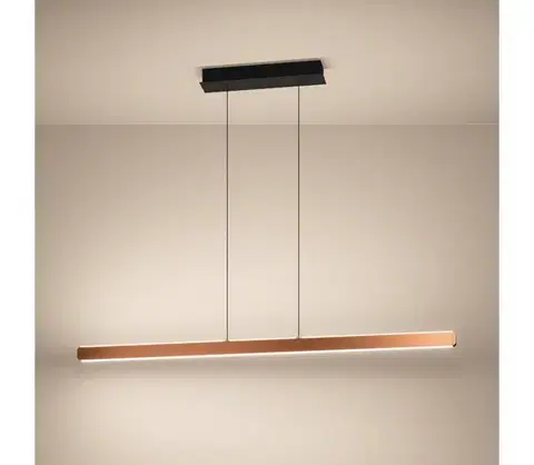 Svietidlá Eglo 390499 - LED stmievateľný luster na lanku CIGGIANO LED/30W/230V zlatá + diaľkový ovládač 390499