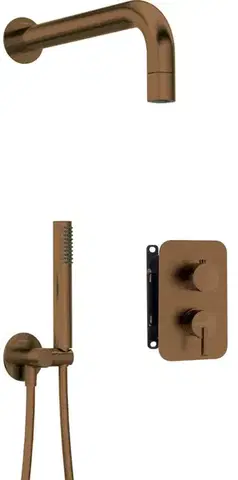 Kúpeľňové batérie DEANTE DEANTE - Silia Concealed BOX, batéria Podomietkový sprchový set, s batériou BOX - s malou sprchovou hlavicou BXYZCQSM