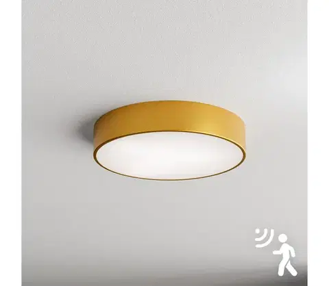 Svietidlá BRILAGI - Stropné svietidlo so senzorom CLARE 3xE27/40W/230V pr. 40 cm zlatá 8590828607090