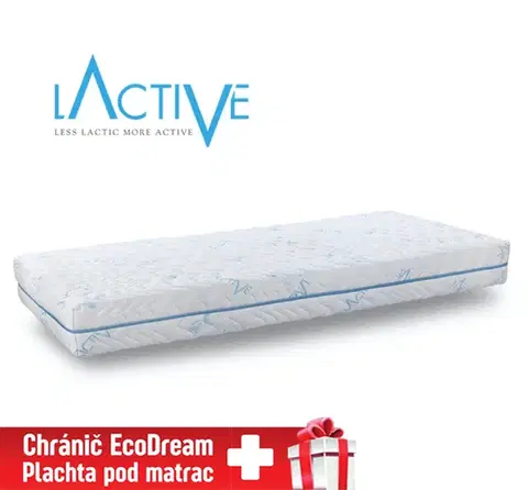 Matrace Matrac comfort LActive DreamBed - 80x190cm Tiahome