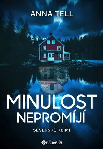 Detektívky, trilery, horory Minulost nepromíjí - Anna Tellová