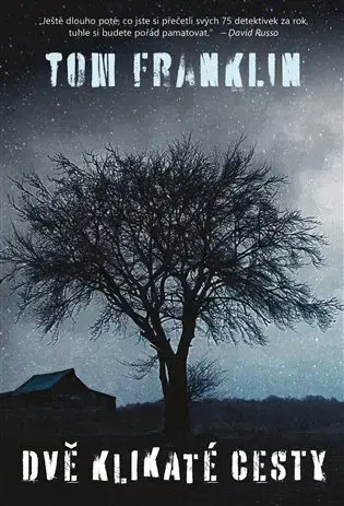 Detektívky, trilery, horory Dvě klikaté cesty - Tom Franklin