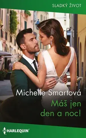 Erotická beletria Máš jen den a noc! - Smart Michelle