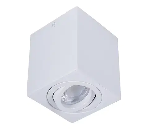 Svietidlá  Bodové svietidlo SIN 1xGU10/50W/230V biela 5903271841530