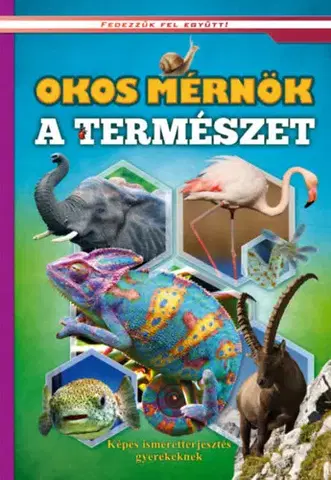 Príroda Okos mérnök a természet