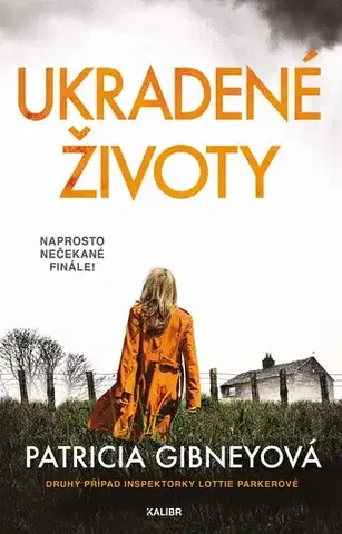 Detektívky, trilery, horory Ukradené životy - Patricia Gibneyová
