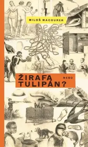Humor a satira Žirafa nebo tulipán - Miloš Macourek,Adolf Hoffmeister