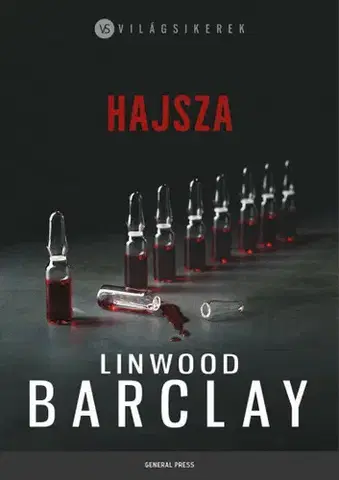 Detektívky, trilery, horory Hajsza - Linwood Barclay