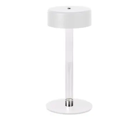 Lampy  LED Stmievateľná nabíjacia stolná lampa LED/3W/5V 3000-6000K biela 10571