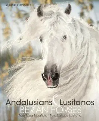 Fotografia Iberian Horses - Andalusians & Lusitanos - Gabrielle Boiselle