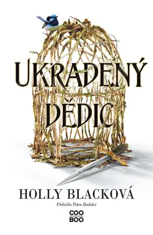 Fantasy, upíri Ukradený dědic - Holly Black