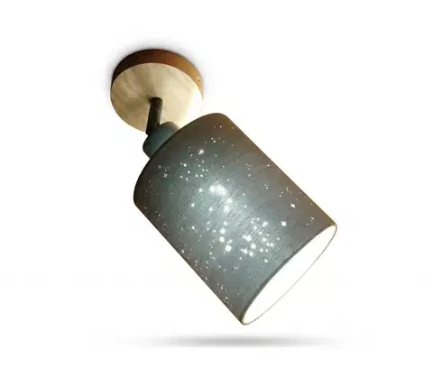 Svietidlá Briloner 2078-011 - Nástenné bodové svietidlo SPOTLIGHT 1xE27/25W/230V béžová 2078-011