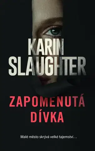Detektívky, trilery, horory Zapomenutá dívka - Karin Slaughter