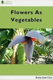 Hobby - ostatné Flowers as Vegetables - Jose Ciiju Roby