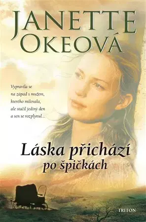 Svetová beletria Láska přichází po špičkách - Oke Janette