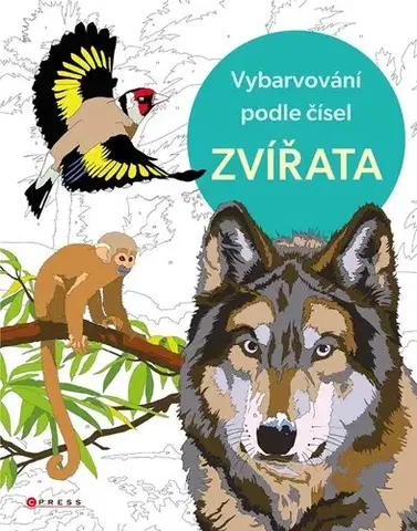 Pre deti a mládež - ostatné Vybarvování podle čísel: Zvířata
