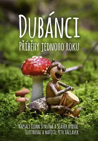 Rozprávky Dubánci - příběhy jednoho roku - Petr Václavek