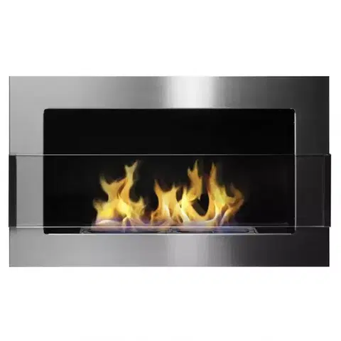 Biokrby visiace Biokrb 650x400 inox strieborný so sklom