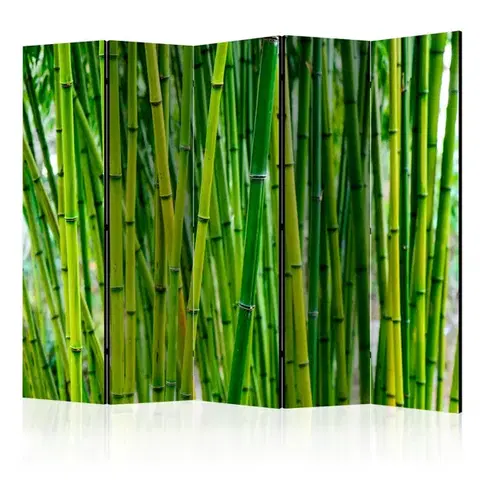 Paravány Paraván Bamboo Forest Dekorhome
