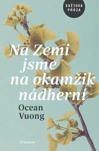 Beletria - ostatné Na Zemi jsme na okamžik nádherní - Ocean Vuong