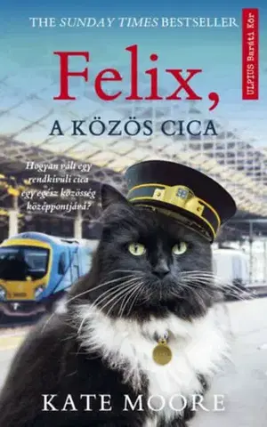 Svetová beletria Felix, a közös cica - Kate Mooreová