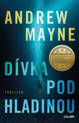 Detektívky, trilery, horory Dívka pod hladinou - Andrew Mayne,Milan Lžička