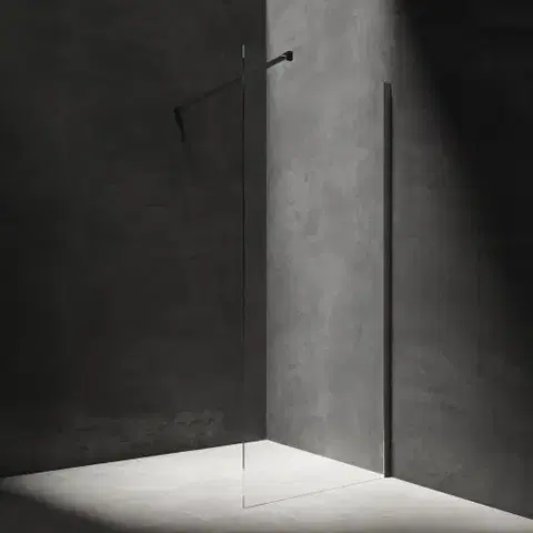 Sprchovacie kúty OMNIRES - MARINA walk-in, 120 cm čierna mat / transparent /BLMTR/ DNR12XBLTR