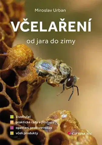 Hmyz Včelaření od jara do zimy - Urban Miroslav