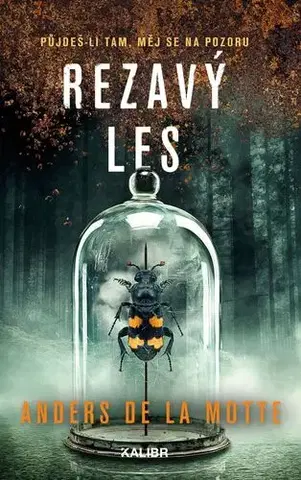 Detektívky, trilery, horory Rezavý les - Motte de la Anders