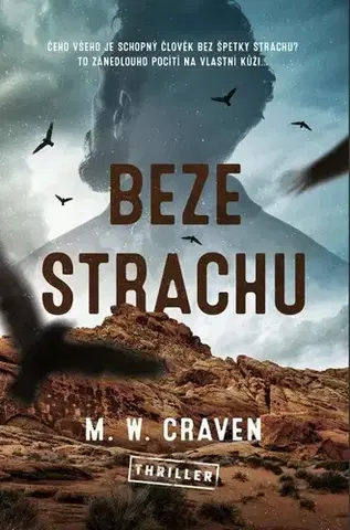 Detektívky, trilery, horory Beze strachu - M. W. Craven