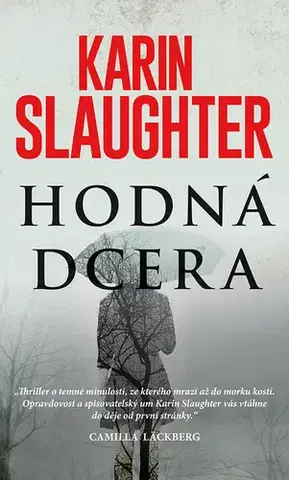 Detektívky, trilery, horory Hodná dcera - Karin Slaughter