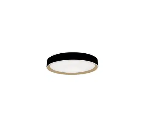 Svietidlá  LED Stmievateľné stropné svietidlo s hlasovým ovládaním OPAL LED/48W/230V + DO LC902MBV
