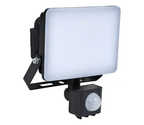 LED osvetlenie BRILAGI - LED reflektor s čidlem ELARA PRO LED/10W/230V IP65 BRFL02-10W/PIR