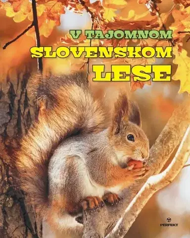 Krížovky, hádanky, hlavolamy V tajomnom slovenskom lese - Roman Jadroň,Miroslav Saniga