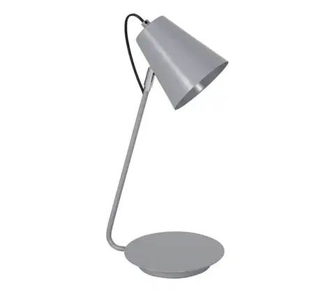 Lampy  Stolná lampa TABLE LAMPS 1xE27/60W/230V 8298