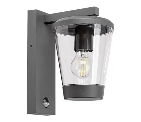 Svietidlá Rabalux 7267 - Vonkajšia nástenná lampa so senzorom SAVANO 1xE27/40W/230V IP44 7267