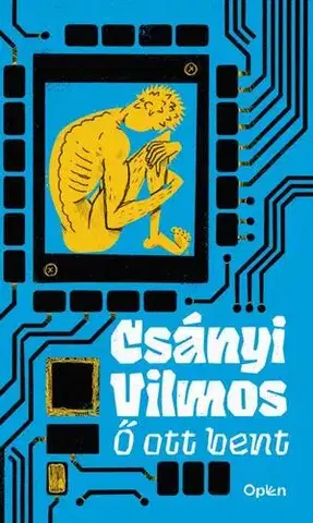 Svetová beletria Ő ott bent - Vilmos Csányi