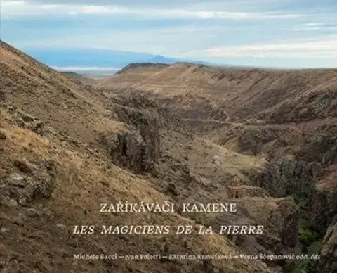 Dejiny, teória umenia Zaříkávači kamene - Ivan Foletti,Katarína Kravčíková,Michele Bacci