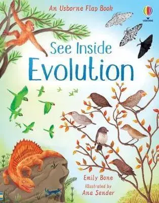 Leporelá, krabičky, puzzle knihy See Inside Evolution - Emily Bone,Ana Sender