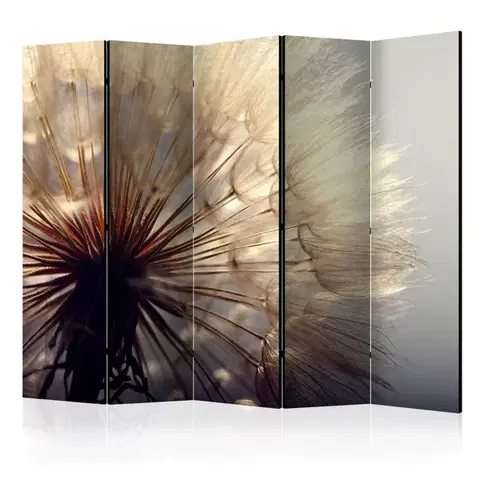 Paravány Paraván Dandelion Kiss Dekorhome