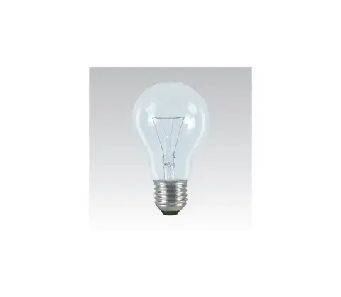 Žiarovky  Priemyselná špeciálna žiarovka E27/100W/24V 339005000