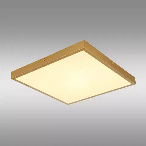 Lampy do obývačky Stropná lampa Tibey 12382-22 LED PL1
