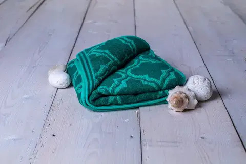 Uteráky Froté uterák Dolce Zelený 50x90cmTiaHome