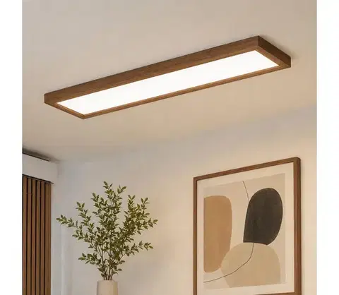 Svietidlá BRILAGI-LED Stmievateľné svietidlo WOODY FRAME LED/50W/230V dub 120x30 cm IP44 +DO 8590828607311