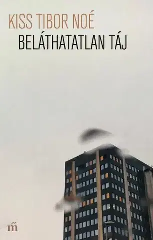 Svetová beletria Beláthatatlan táj - Tibor Noé Kiss